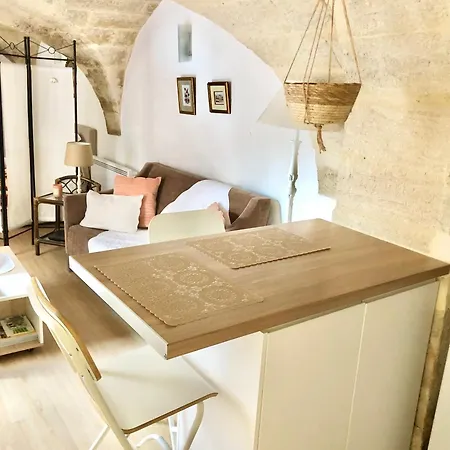 Grand Studio Sur Jardin En Centre-Ville